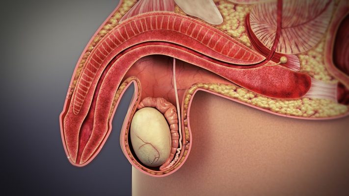 Vitaminas y disfunción eréctil